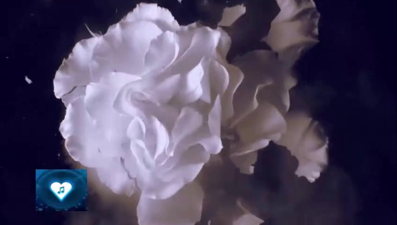 Já Não Sou Feliz Mais - Banda Imortal