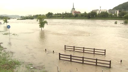 대전 갑천 유성지점 홍수주의보...빗줄기 소강 / YTN