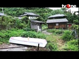 Pulau Aoshima, Surganya Pecinta Kucing