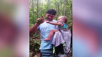 Ultimate Funny Lizard Compilation of 2018 | Funny Pet Videos