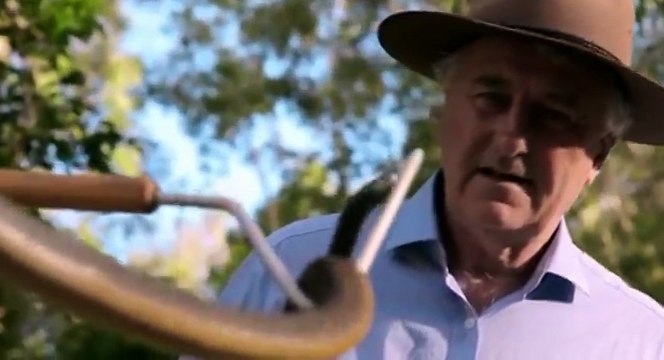 Survivors Nature's Indestructible Creatures S01 - Ep02 Fugitive from the Fire - Part 01 HD Watch