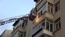 İstanbul Yangında Mahsur Kalan Kediyi İtfaiye Kurtardı