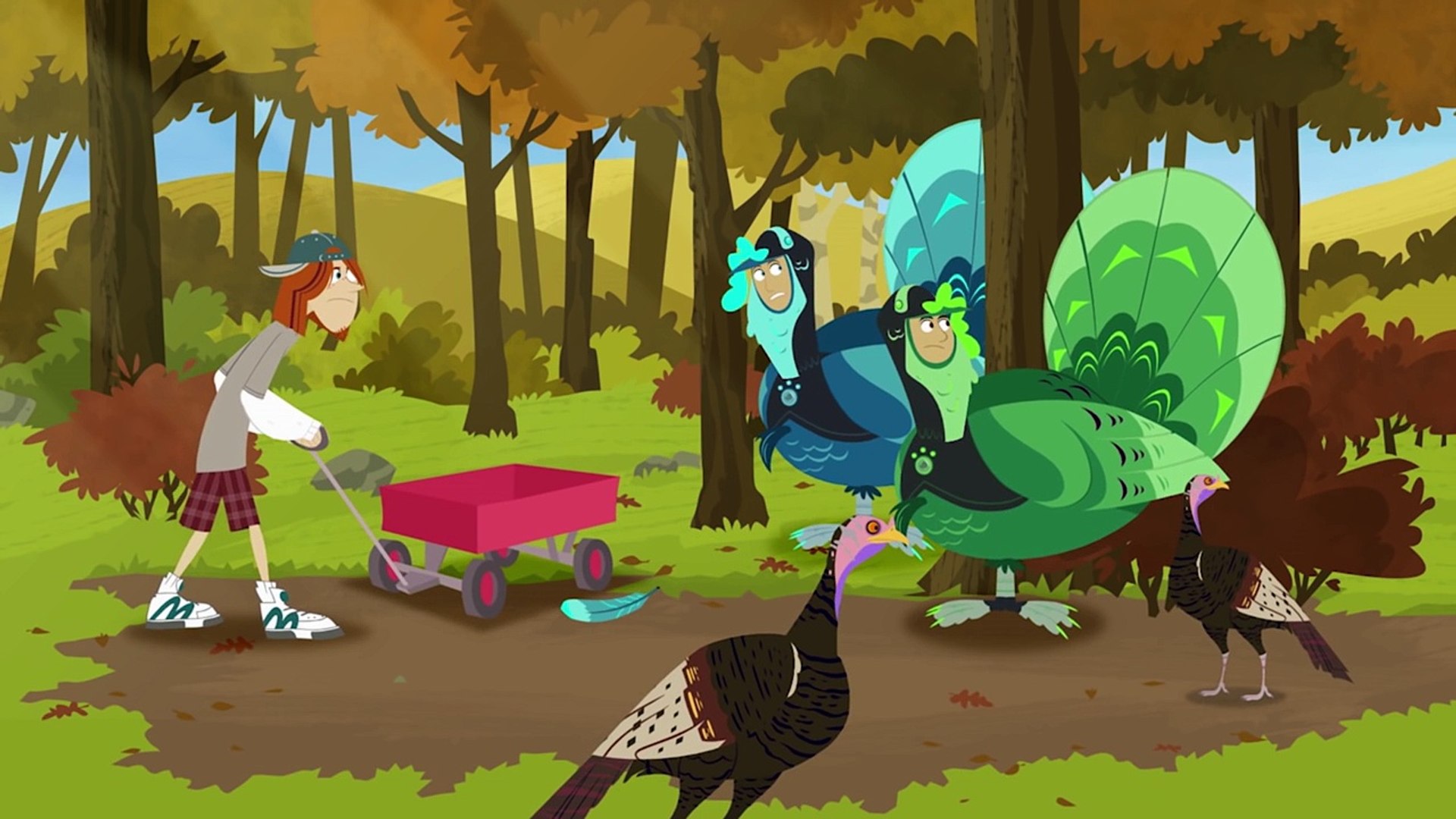 Wild Kratts The Thanksgiving Hunt For Wild Turkeys Video Dailymotion
