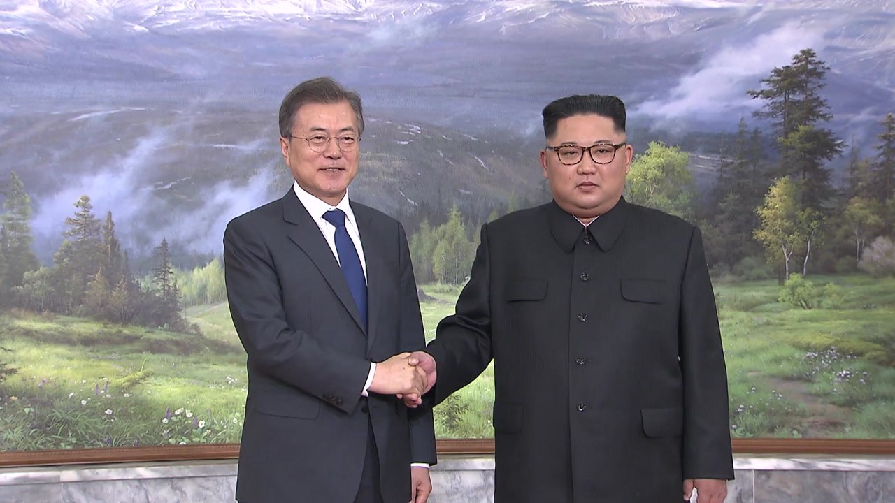 청와대, 내달 대북 특사 파견..."정상회담 논의" / YTN