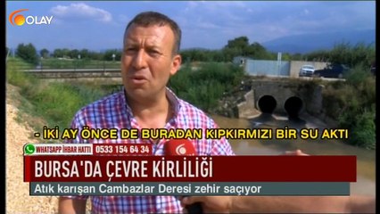 Bursa'da çevre kirliliği