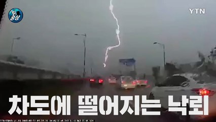 [영상]주행 중 목격한 낙뢰···신호등 고장으로 교통 혼란 / YTN
