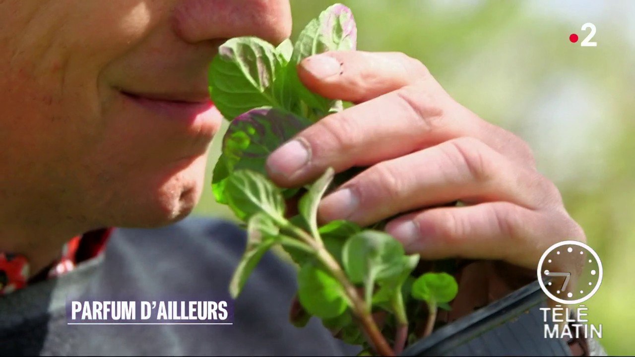 Jardin - Parfums d’ailleurs