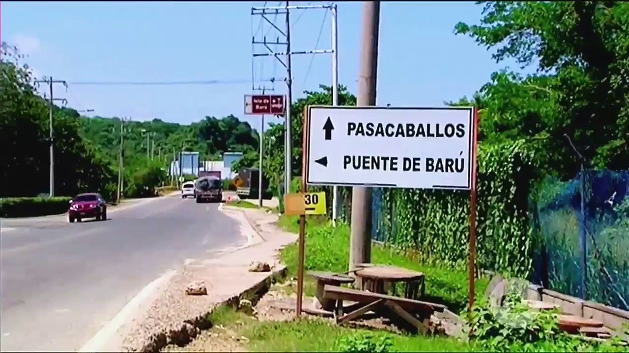 Turistas extranjeros hablan del horror que vivieron en Colombia