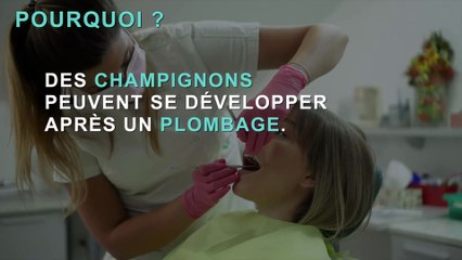 Nez qui coule : 3 causes possibles