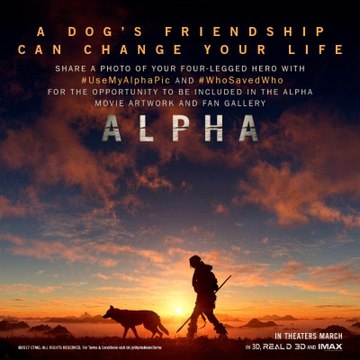 ആല്‍ഫ മൂവി റിവ്യൂ | filmibeat Malayalam