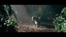 Shadow of the Cute Raider : le trailer de Shadow of the Tomb Raider recréé avec des chats et des chiens