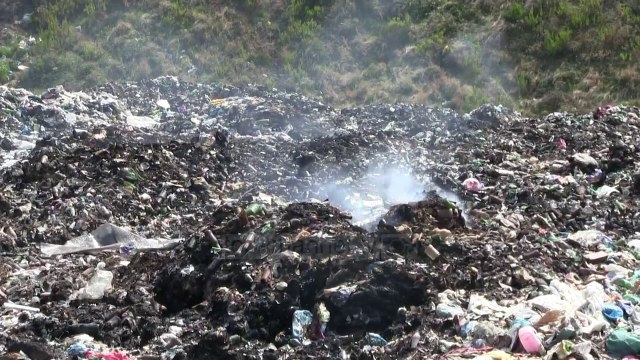 Plehrat e Patosit shqetësojnë banorët - Top Channel Albania - News - Lajme