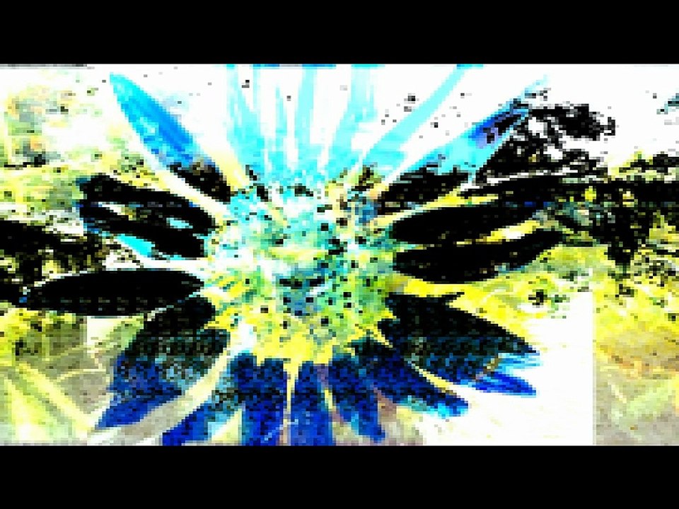the tintinabulation of sunflowers