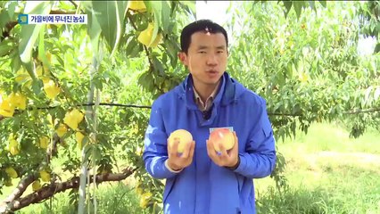 폭염도 버텼는데…집중 호우에 무너진 농심