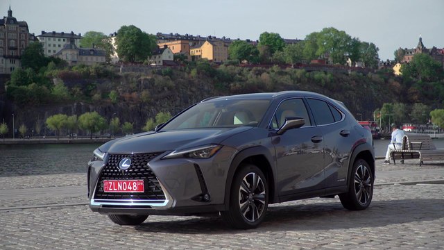 The new Lexus UX 250h Design in Grey