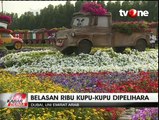 Keindahan Taman Kupu-kupu Terbesar di Dunia