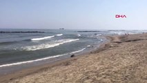 Sakarya Karasu'da Suyun Rengi Değişti, Denize Girmek Yasaklandı