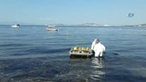 Foça'da Meydana Gelen Ağır Yakıt Sızıntısı Denizi Kirletti