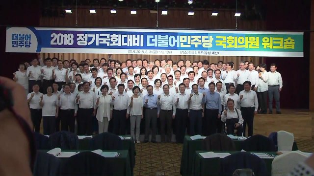 대오 정비하는 민주당... 소득 주도 성장 강하게 추진 / YTN
