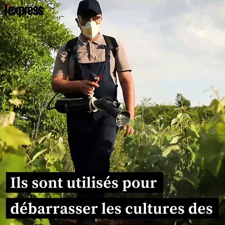 Drones, pesticides, gaz: ce qui change en septembre