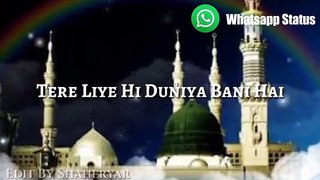 Shah_e_Madina__Whatsapp_Status_Video_30_Second_