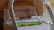 This smart feeder will stop your pets from mooching off each other