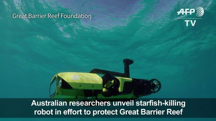 Australia unveils starfish-killing robot to protect Barrier Reef