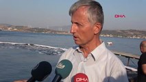 İzmir Aliağa ve Foça Sahilinde Ham Petrol Kirliliği