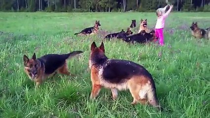 Little Girl Enjoying In The Dog Heaven
