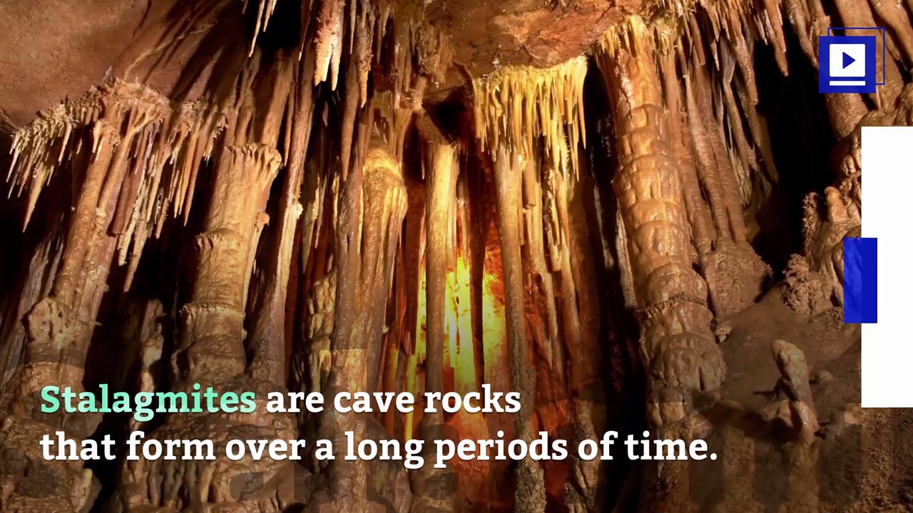 Climate Change Killed Off Neanderthals, Study Says