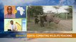 Death of 11 black rhinos: combating wildlife poaching in Kenya