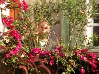 She Spies 1X06 Ice Man