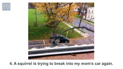 10+ Photos That Take 3 Looks and a Zoom to Get What’s Going On