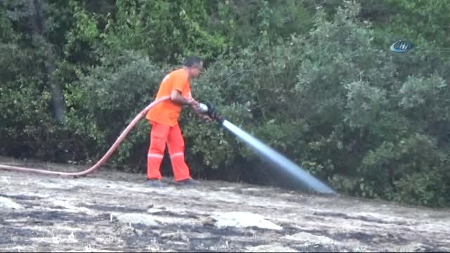 Bolu'da, 2 Hektarlık Orman Arazisi Yangında Zarar Gördü