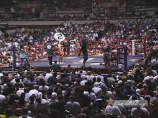 Falaniko Vitale vs Robbie Lawler