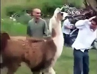 THIS LAHMA WANTS THIS MAN GONE! LOL