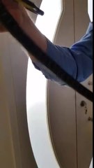 Il trouve un serpent bien caché dans le canapé