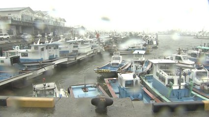 남해안 곳곳 비...밤사이 큰 피해 없어 / YTN