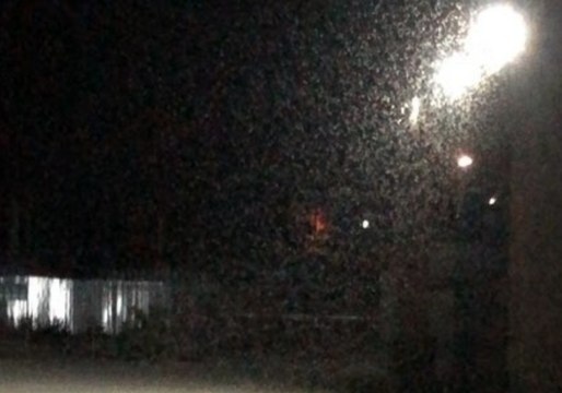 Midges Descend Upon Russian City Taganrog