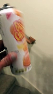 Dog Interrogated Over Cheese Whizz Mess