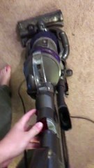 Dog Fights the Vacuum