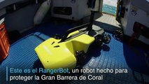 Un robot submarino a la caza de estrellas de mar