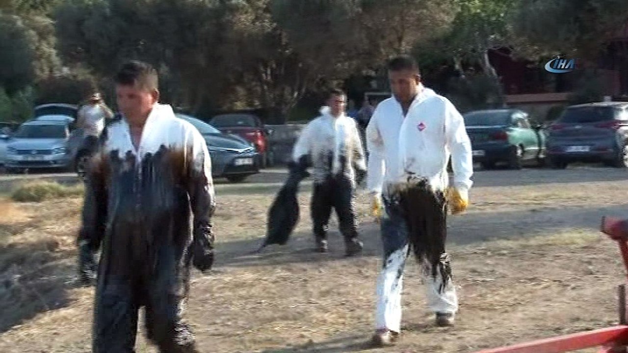 Foça’daki petrol kirliliğine ilişkin Çevre ve Şehircilik İl Müdürlüğü’nden açıklama... “Yaklaşık 2 bin 500 metrelik bir sahil şeridinin kirlilikten zarar gördüğü tespit edildi”