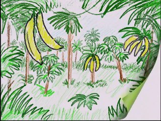 Baby Einstein  Baby Dolittle World Animals