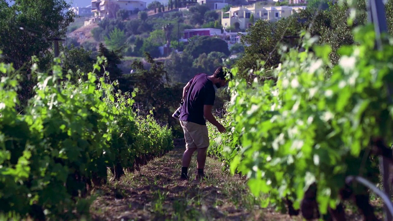  Wanderlust Greece | Evia & Skyros ✔Take a moment to relax and enjoy the latest video of our digital travel show, Wanderlust Greece, travelling around #Evia a