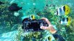 LenzO™ Underwater housings for iPhone 7 and iPhone 7 Plus