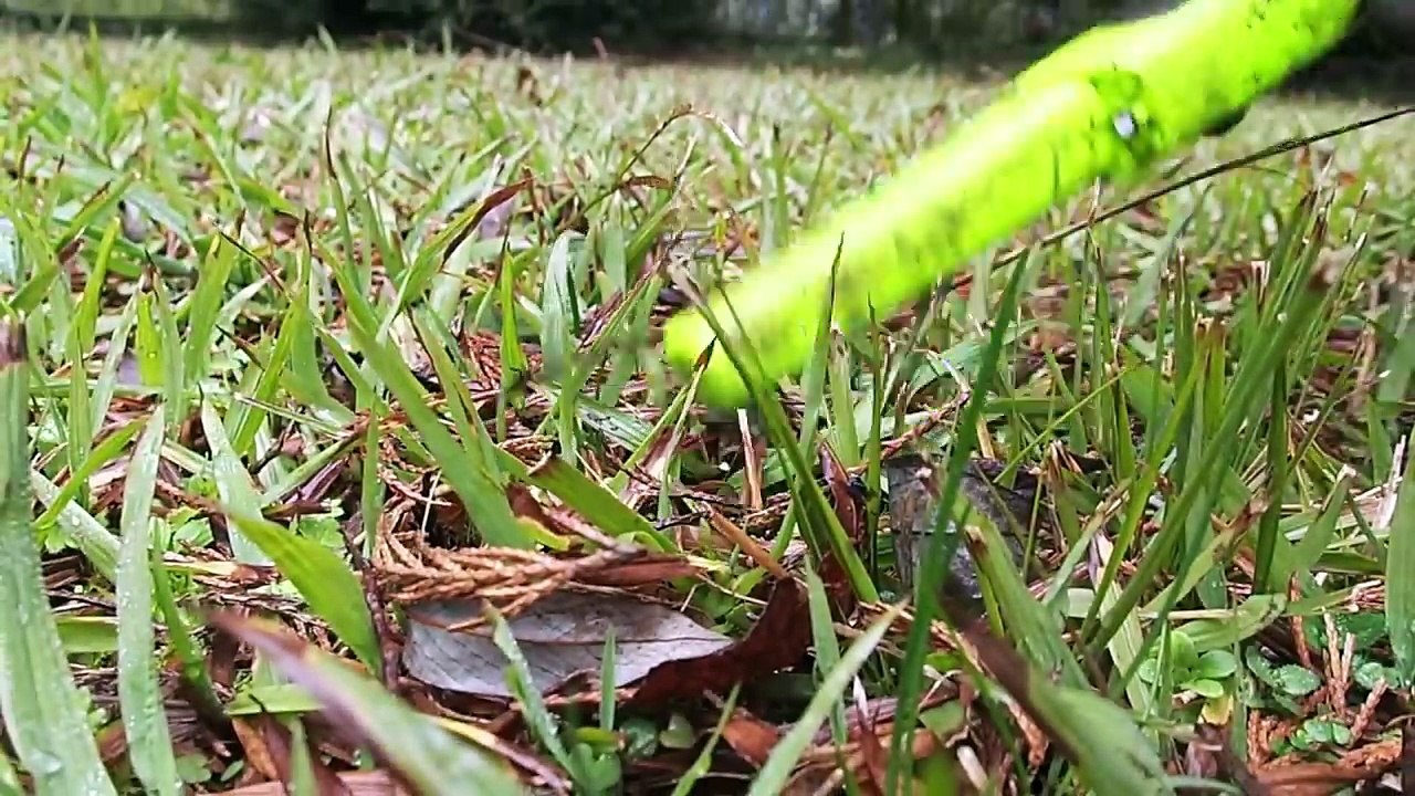 NUNCA CREÍ que pudiese encontrar TANTA PLATA con mi DETECTOR DE METALES - Detección Metálica 164