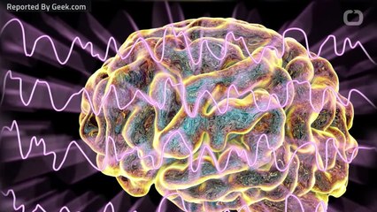 Two Genes Essential For Dreaming Identified