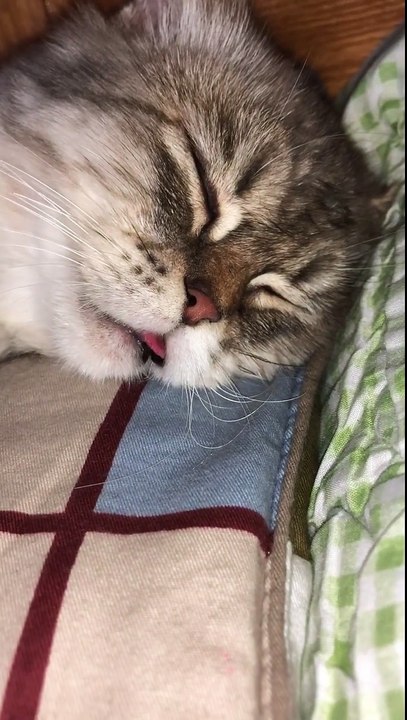 He is dreaming and it seems that the dream is very beautiful