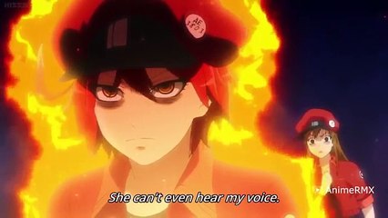 【はたらく細胞】赤血球は元気満々！Red Blood Cell is all fired up! Hataraku Saibou Ep 8 Best Moments